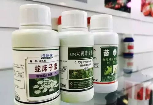 這樣才安全 陽臺(tái)蔬菜種植中的生物農(nóng)藥技術(shù)與研發(fā)應(yīng)用