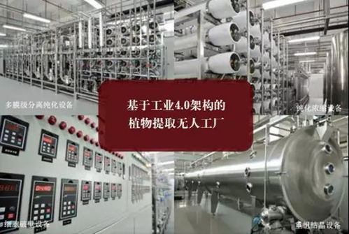 藥食同源與科技融合 植物萃取技術(shù)與清薏湯的溫暖守護(hù)